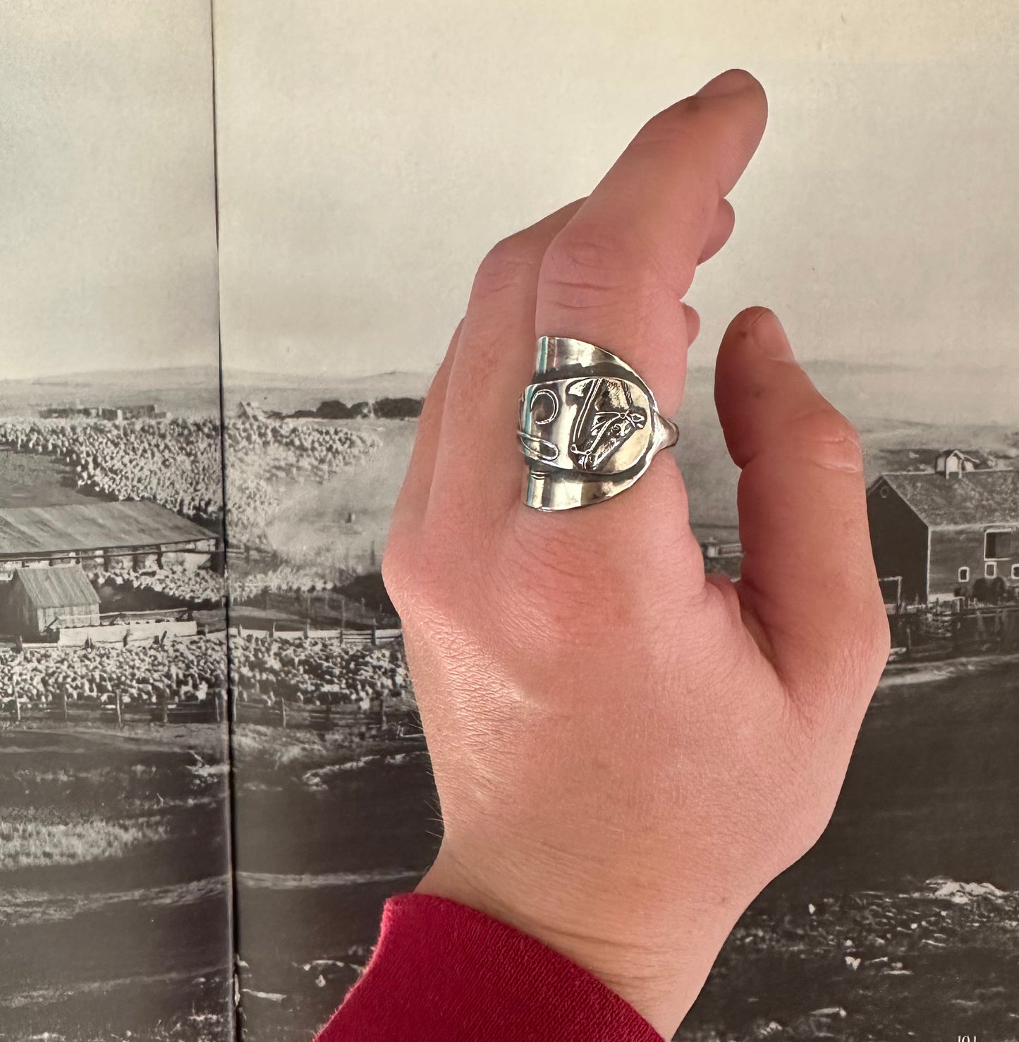 Derby Horse Ring